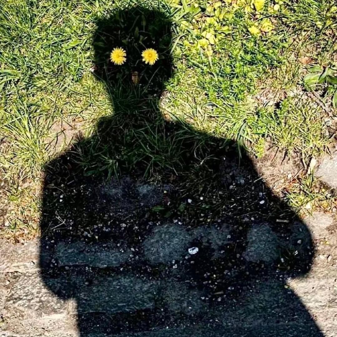 任他明月下西楼ᶻ