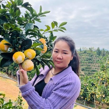 龙勾妹子赣南橙