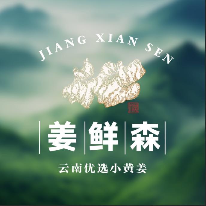 姜鲜森官方企业店
