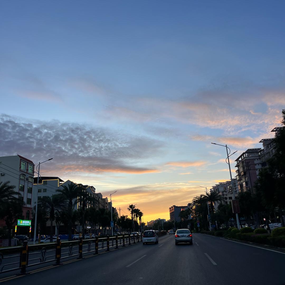 骑牛去看日落🌄