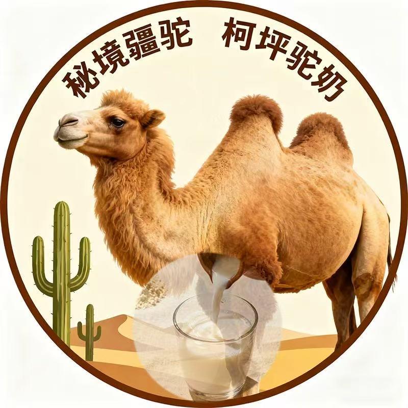 秘境疆驼娜娜优选总店