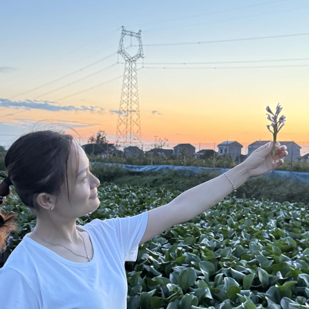 张利霞农品汇甲鱼养殖