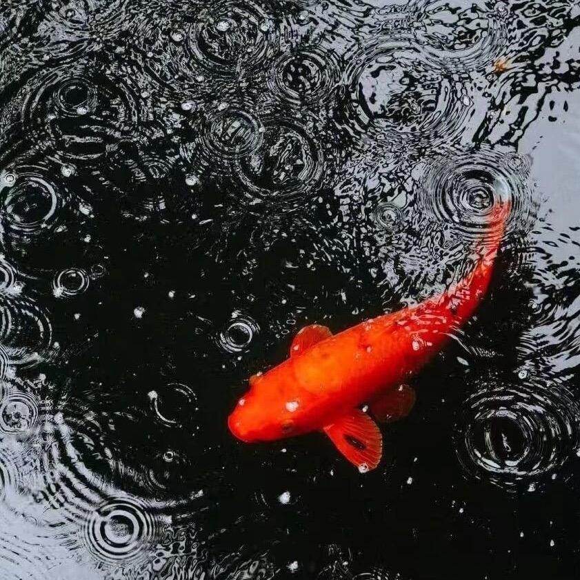 ξ 扎ཐི ཋྀ基ふ 拉朵ᥫᩣ