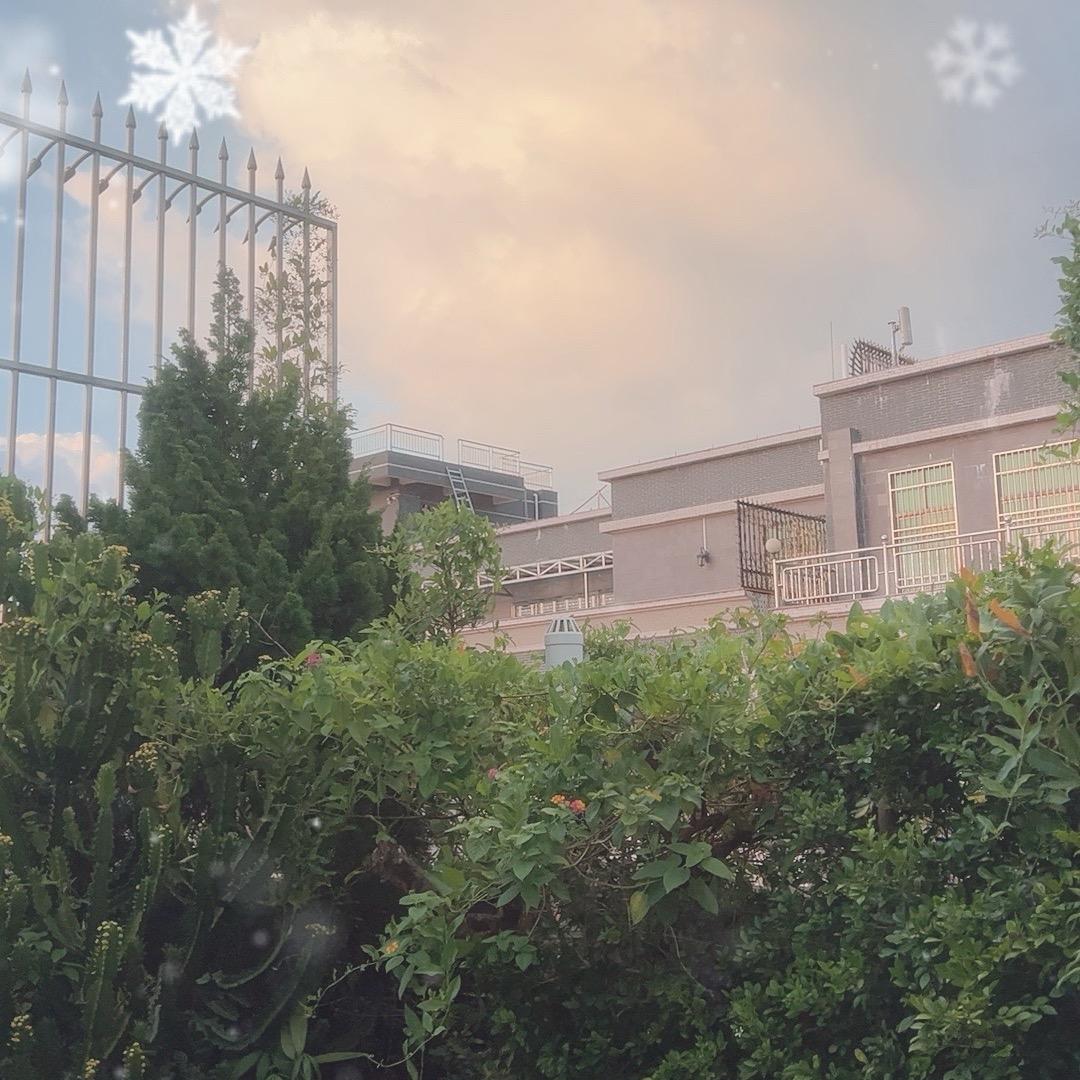 惠州市辛奈文贸易有限公司设计师png