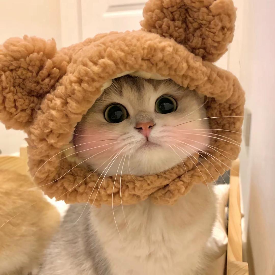 拽哥