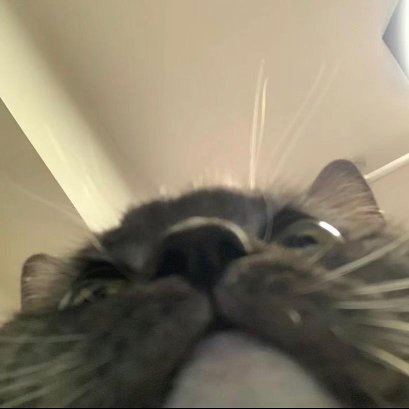 𝙓𝙞𝙖𝙣𝙜𝙓