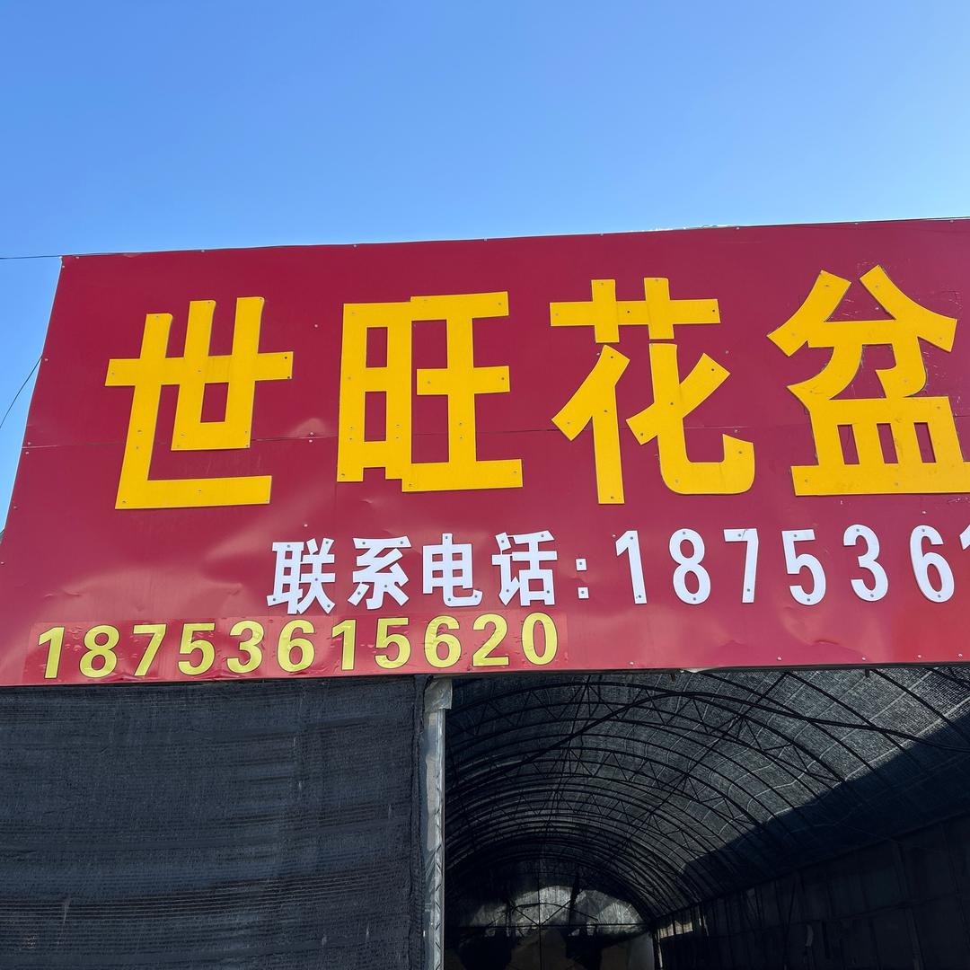 世旺花卉用品