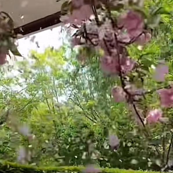 一格格……放下