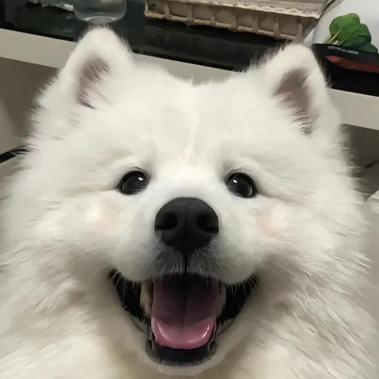 🌈ᜊ•̀Ⱉ•́ᜊ🌈