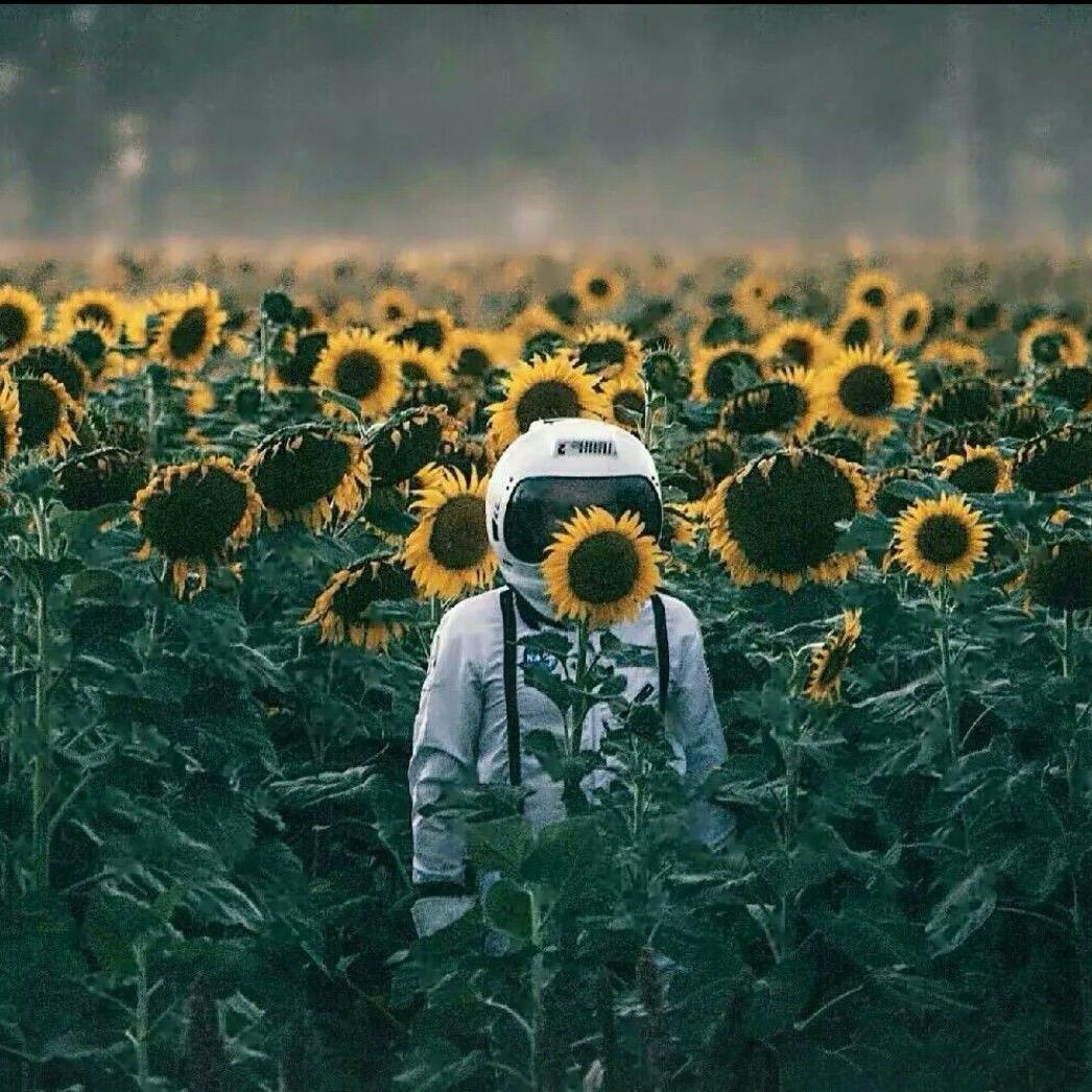 404