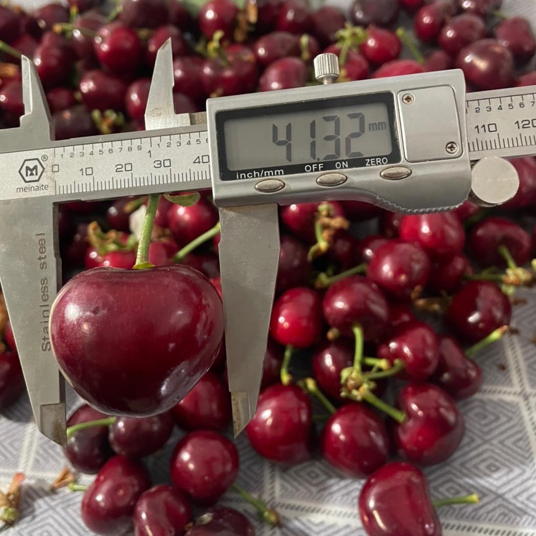 榆次果果里农场