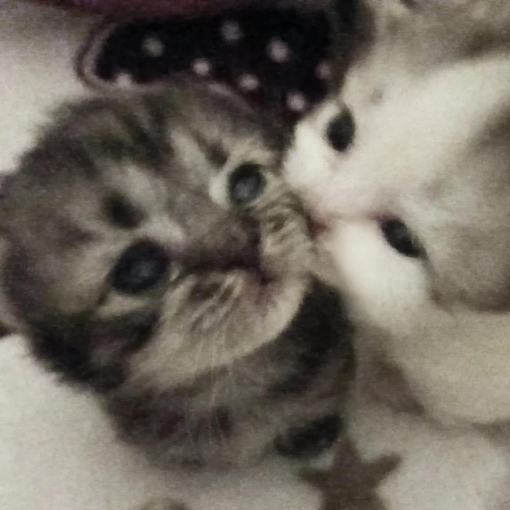 人生短短急个球