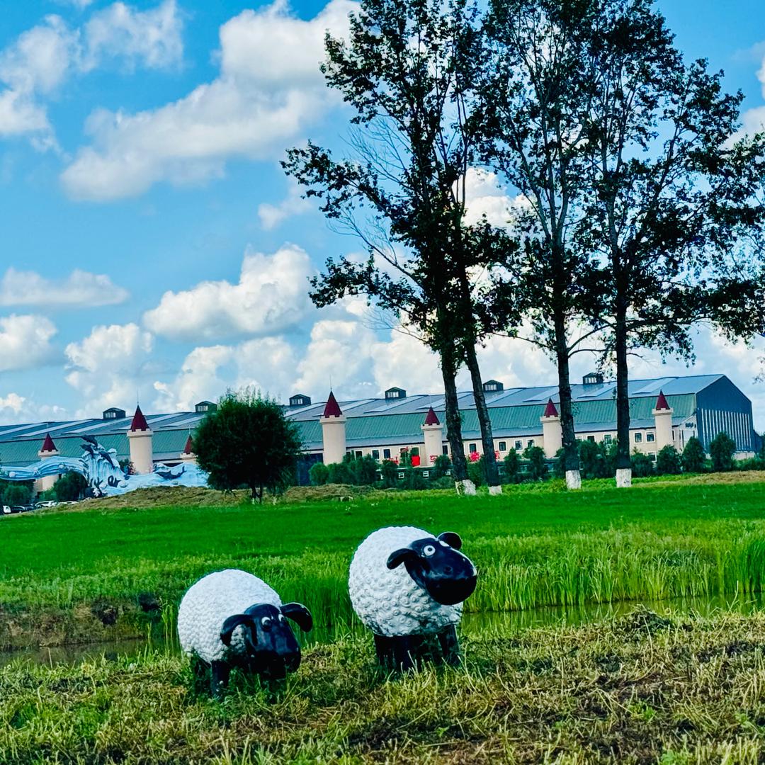 鱼的记忆ʚ🐰ɞ ᥫᩣ🌸