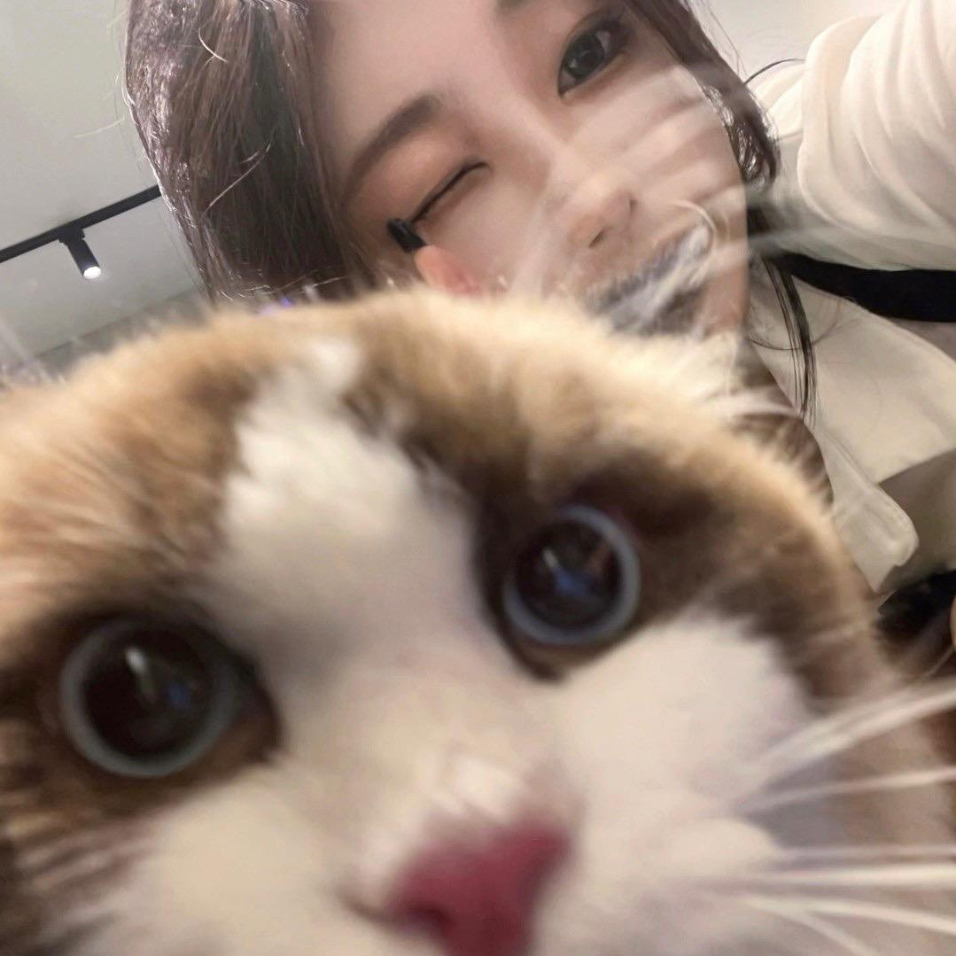 Misa