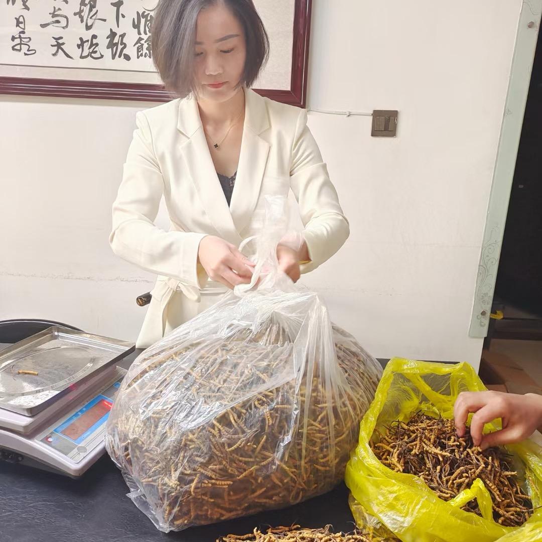 漫领力滋补专营店优选