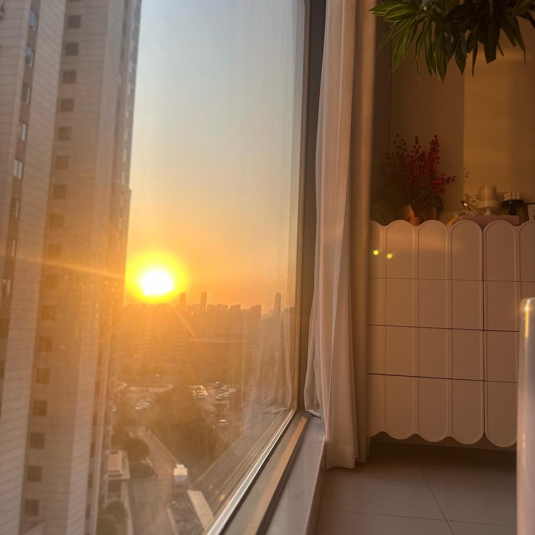 沪