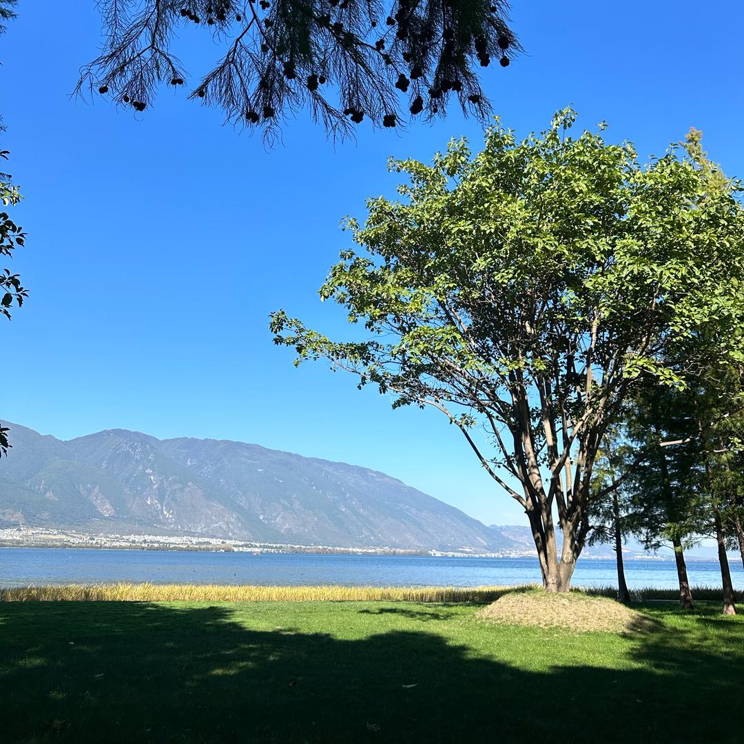 长沙陈宇骁律师