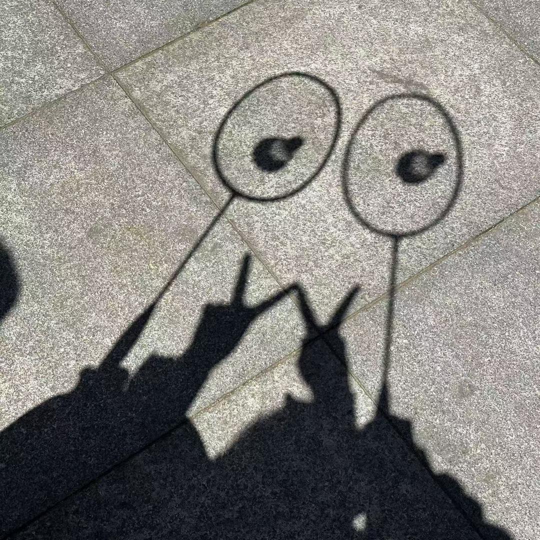 🏸爱打球的小趴菜🏸