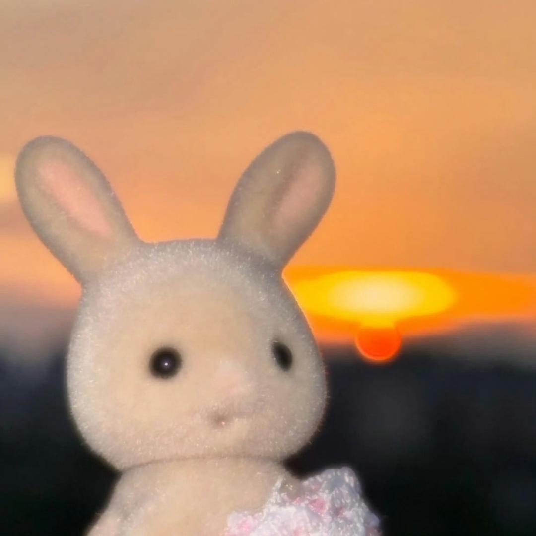 平静的土豆泥🍎