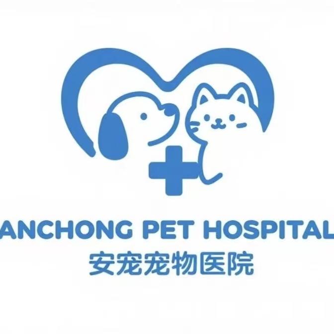 公主岭安宠宠物美容