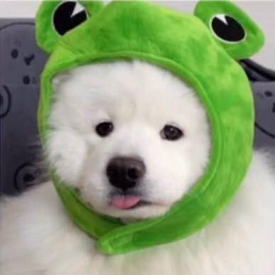 陈-
