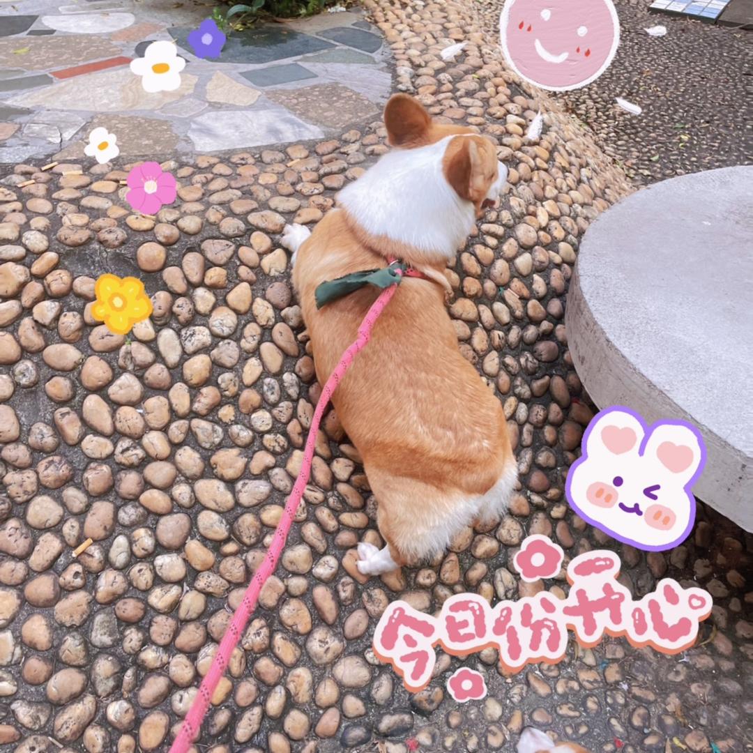 叛逆果汁