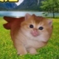 OwwwO…%..%