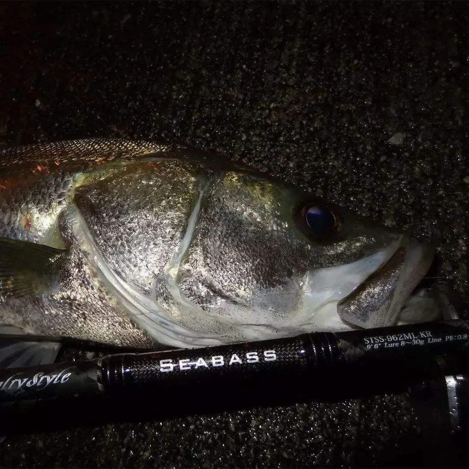 蓝旗鱼93LURE