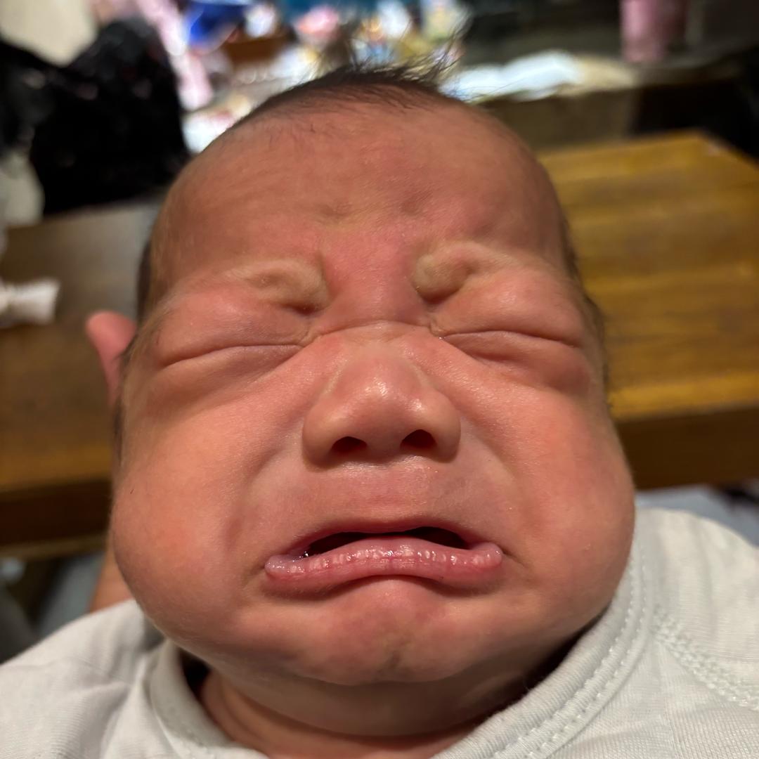 余小庆🤟深圳小院