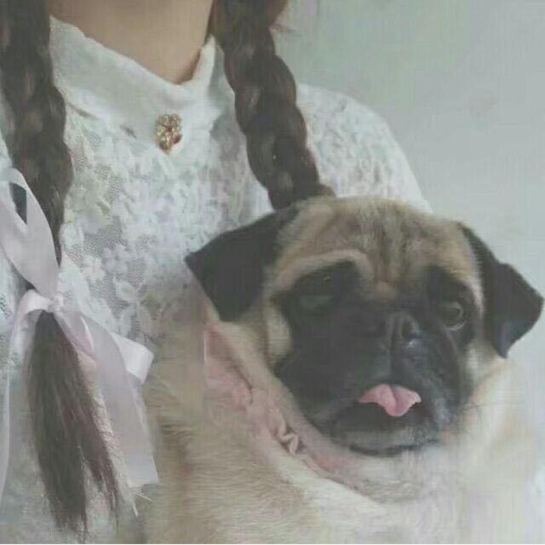 小丽