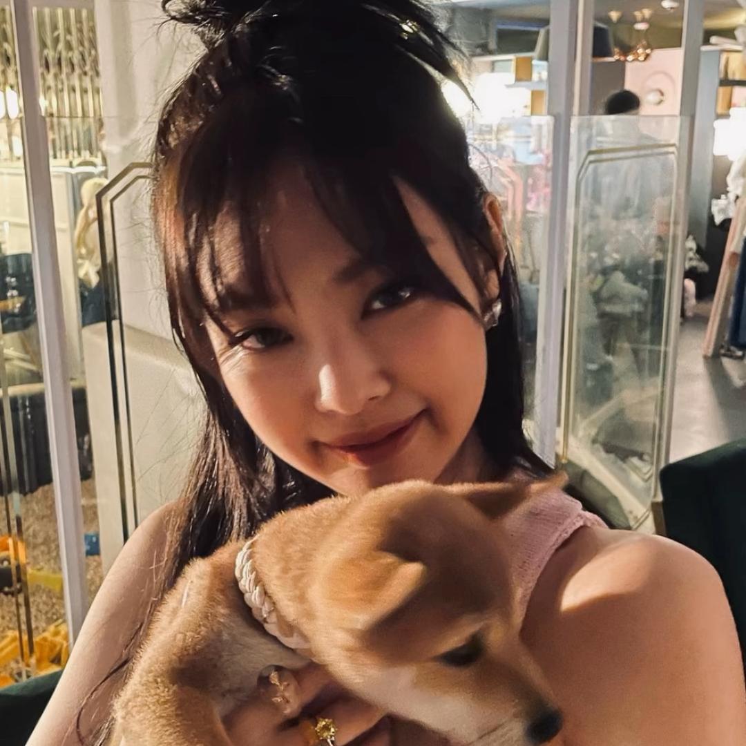 又又又失眠啦🕸️