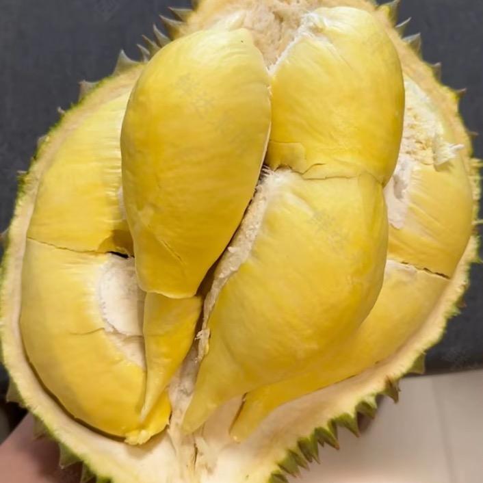 猫山王榴莲总仓