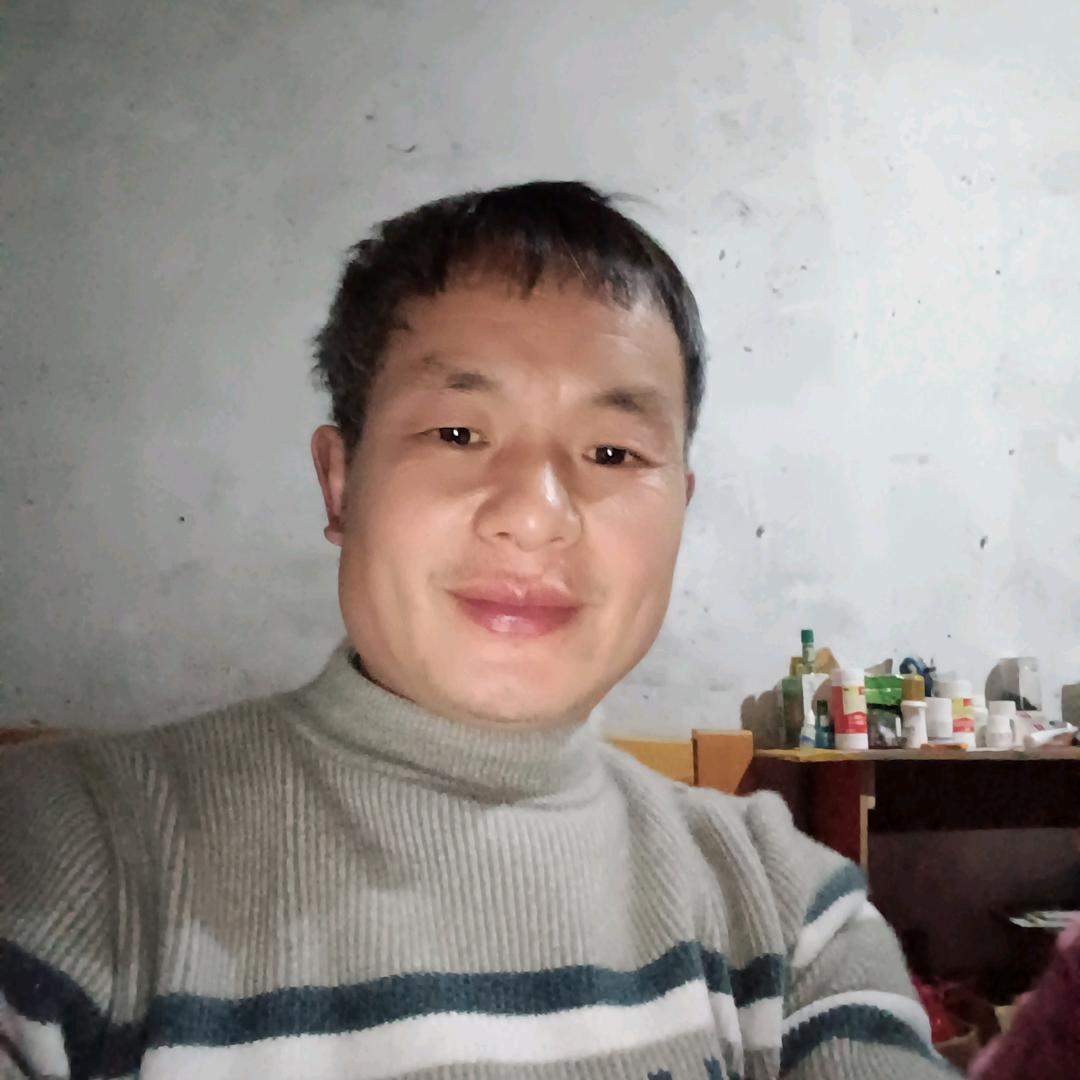 牛年，远方