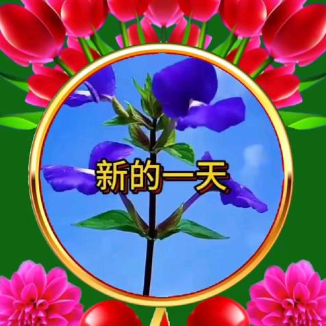 天天好运