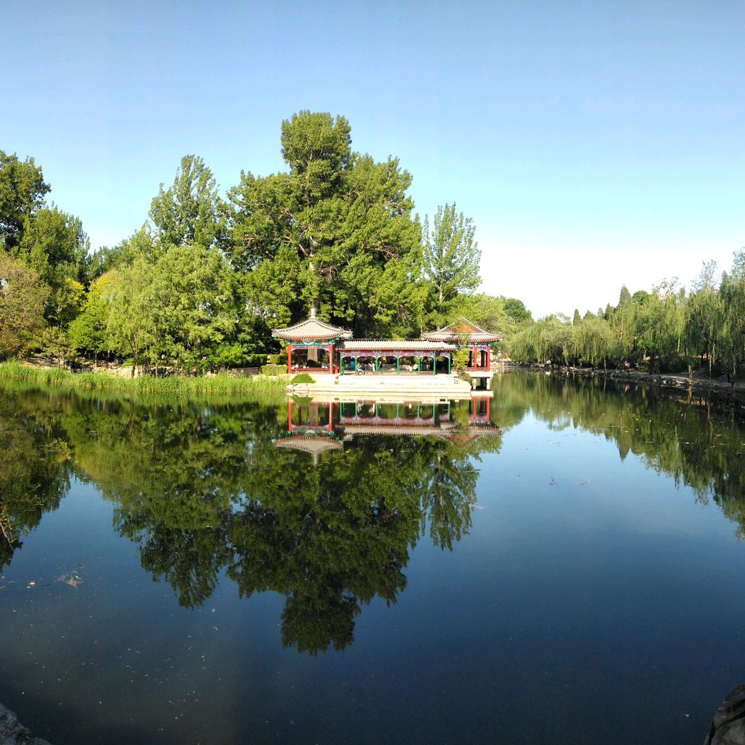 少爷的身子 驴的命