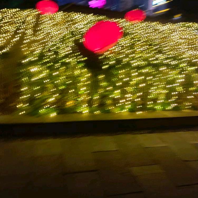 生活在难也要扛