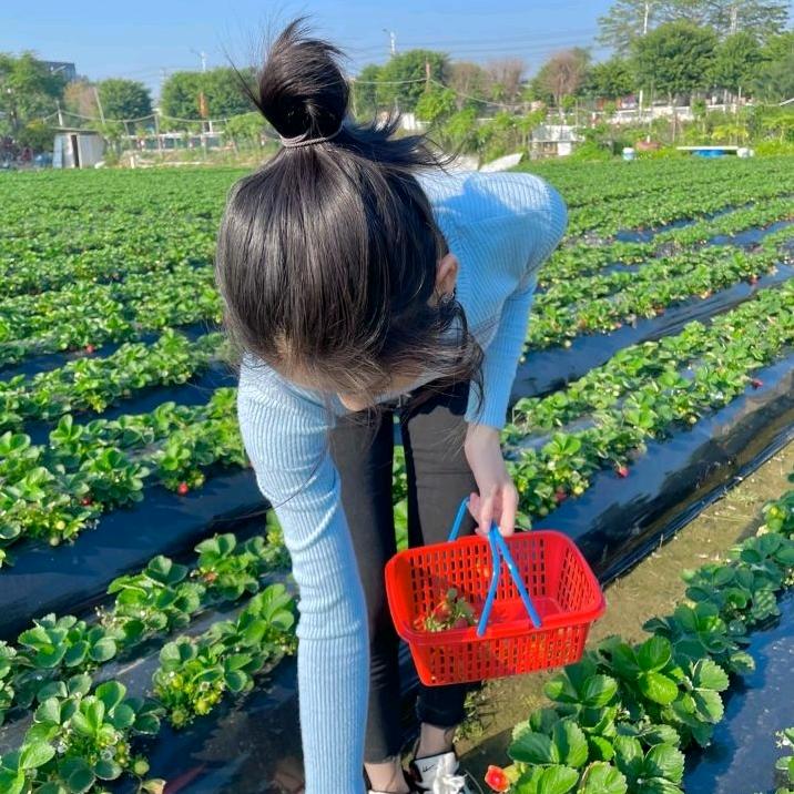 爱吃冰糖葫芦  杨涵涵