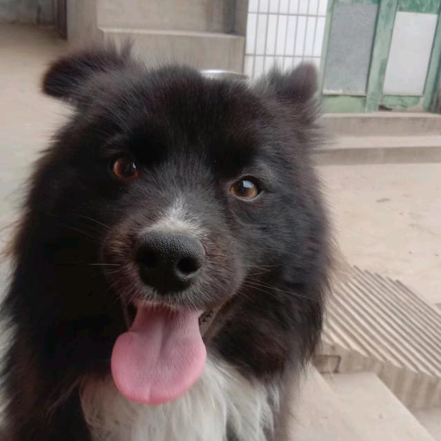粥粥小土豆