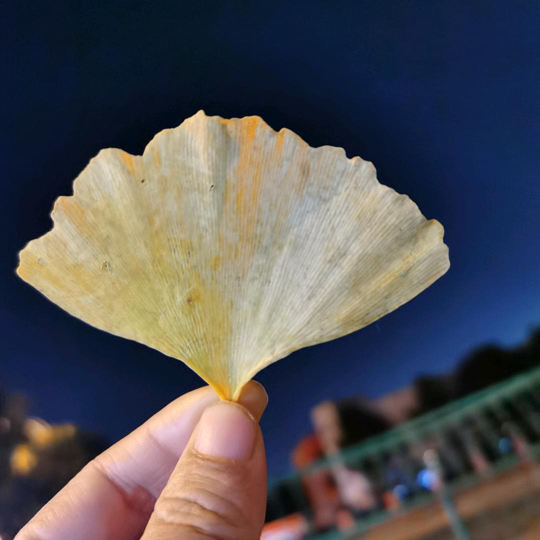 蜜