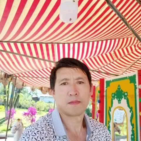 专业贴砖