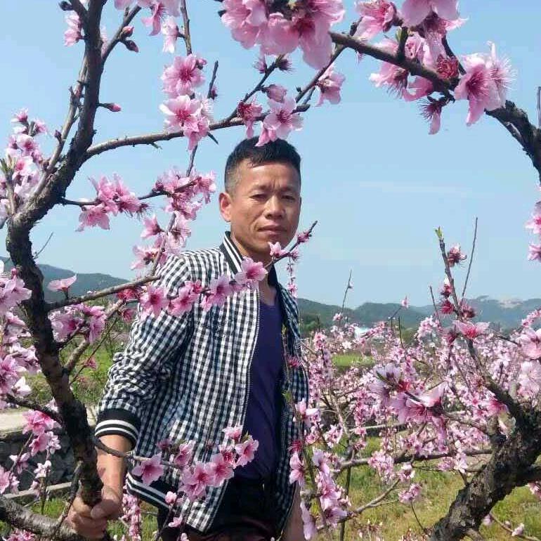 熊哥