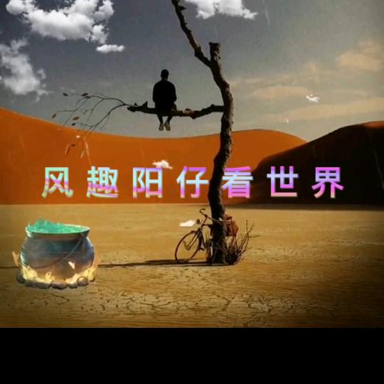 风趣阳仔看世界