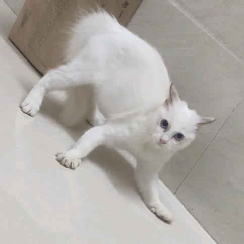向晚、