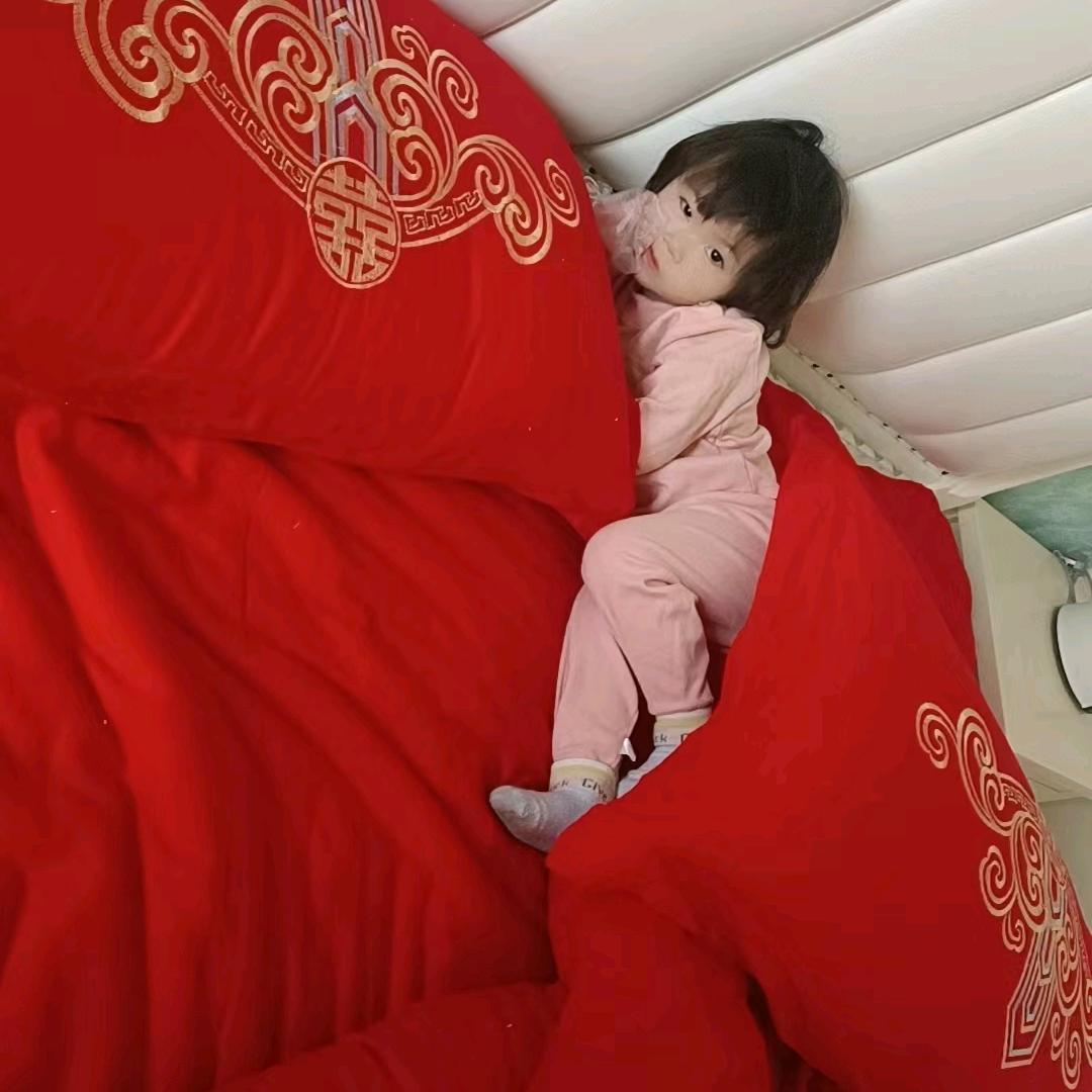 心有猛虎嗅蔷薇