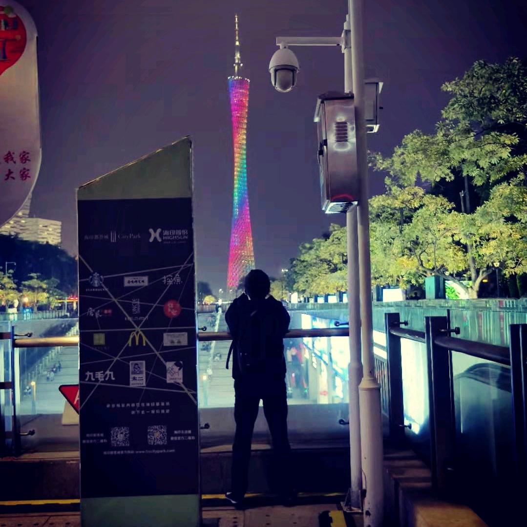 大江东去我朝西☭