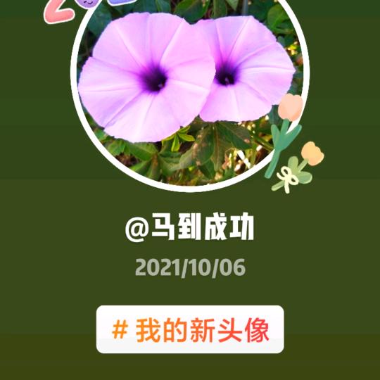 马到成功