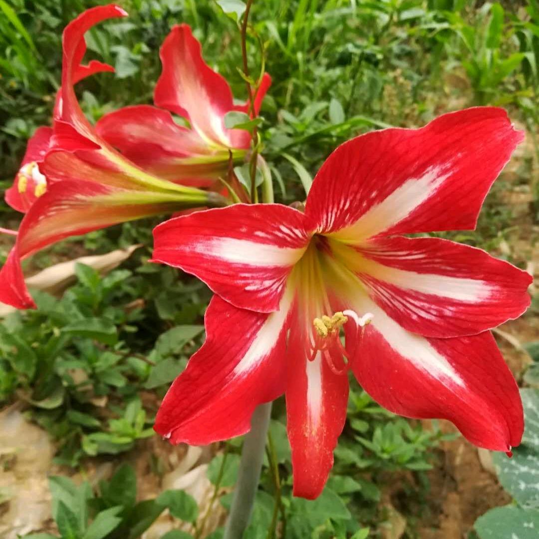 日落归山海，山海藏深意