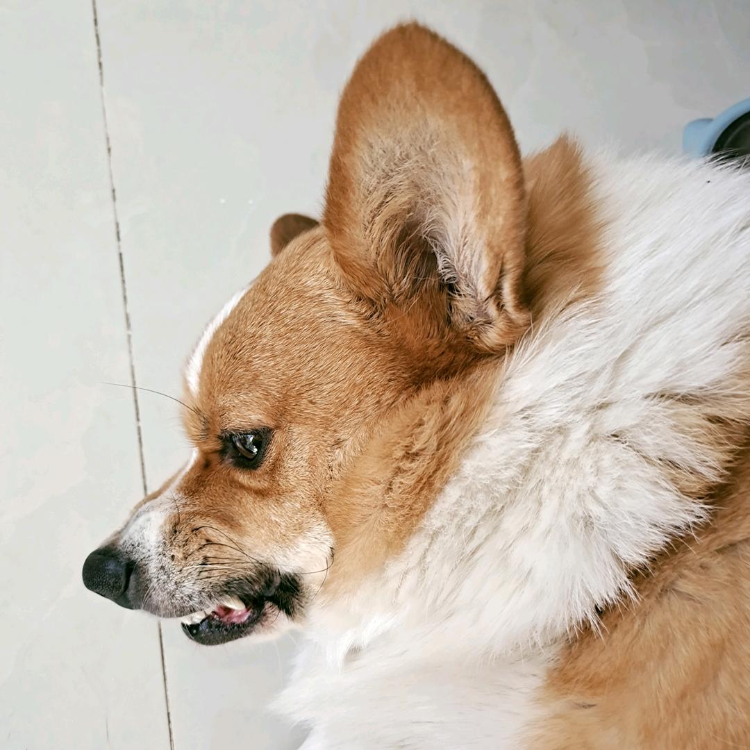 mac