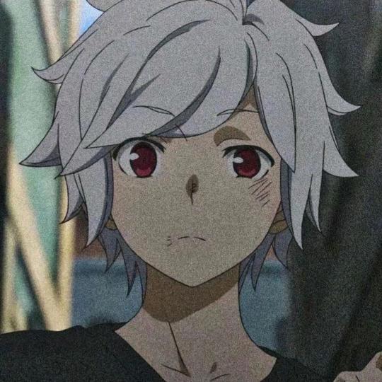 小猫爱咬电线杆