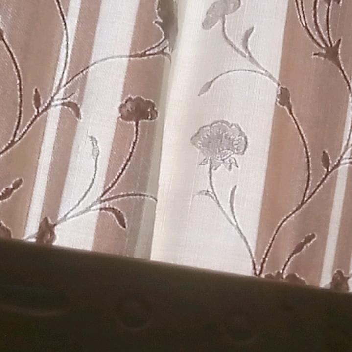 花🌸